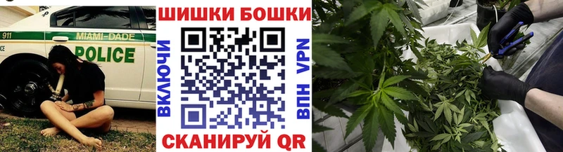 Каннабис White Widow  где продают   Касли 